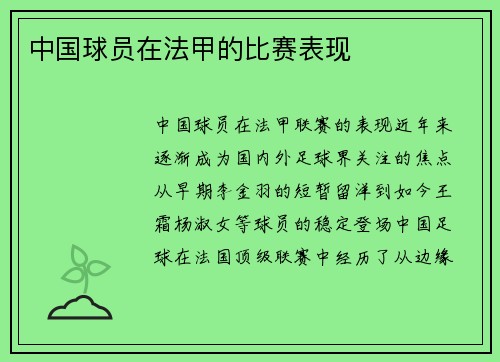 中国球员在法甲的比赛表现