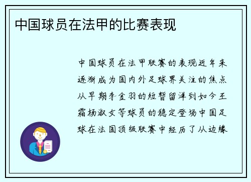 中国球员在法甲的比赛表现