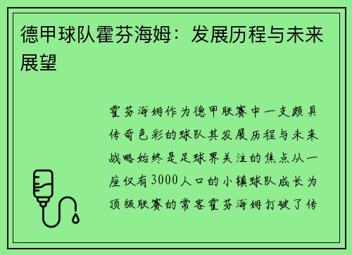 德甲球队霍芬海姆：发展历程与未来展望