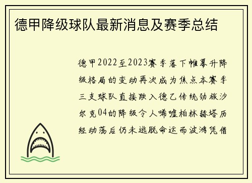 德甲降级球队最新消息及赛季总结